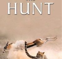 Download The Hunt S01 English Subbed 720p 200x300 1 200x300 1