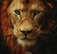Download The Lion King 2019 Hindi English 720p DvDRiP 200x300 1