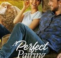 Download A Perfect Pairing 2022 Dual Audio Hindi English 480p 200x300 1 200x300 1