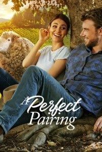 Download A Perfect Pairing 2022 Dual Audio Hindi English 480p 200x300 1 200x300 1