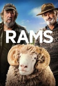 Rams 2020 200x300 1 200x300 1