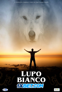 screenshot 2 1 1 200x300 1 200x300 1