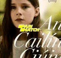 download 43 200x300 1