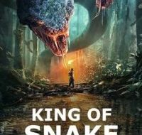 King of snake 2020 Chinese Movie Dubbed in Hindi 200x300 1