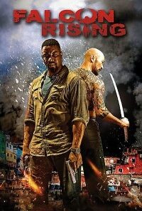 download falcon rising 2014 dual audio hindi english 480p
