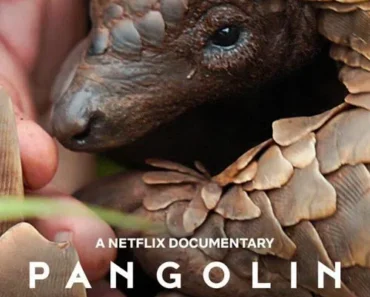 7ky1ctljzok8or25ygevw8s6oxi