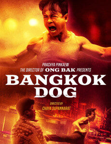 bangkok dog 2024 1